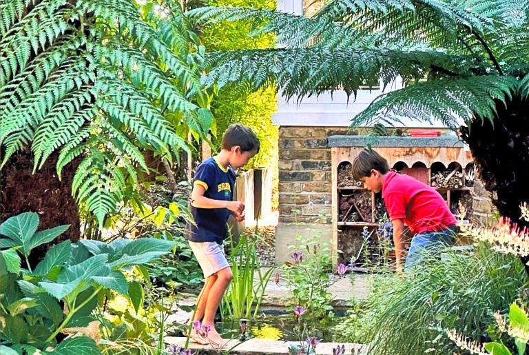 Kids playing in wildlife garden