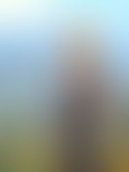 Postcard from the Douro Valley