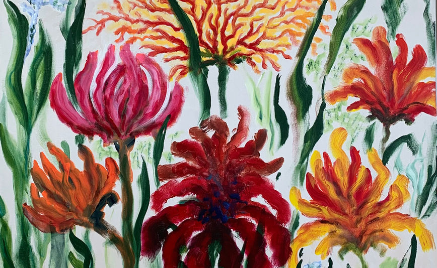 Flores V - Amsterdam