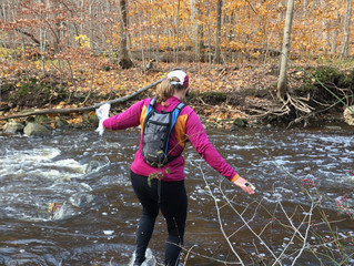 In-person orienteering is back!