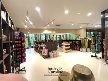 Audit stratégique de boutique et aménagement merchandising pour le Zoo African Safari par inspire by Caroline