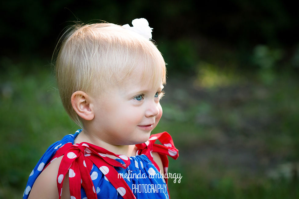Two Year Old Elmo Lover