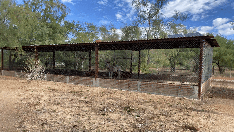 IMG_6014.gif