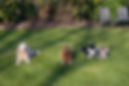 IMGP0996.JPG
