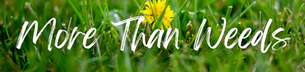 From Our RHK Executive Director: More Than Weeds