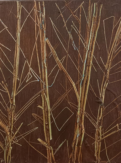 20220219_115108.jpg