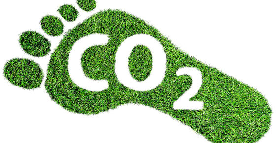 Understanding carbon neutral, carbon negative, net zero, climate positive