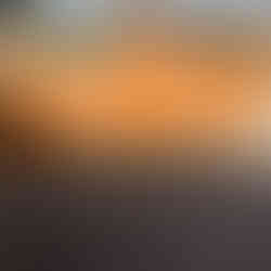 Fencing after replacement by F.B & Sons