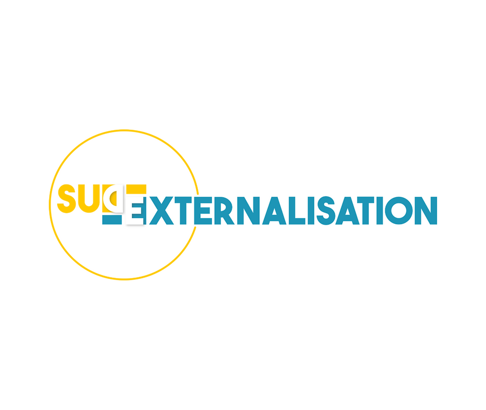 Stage de Directeur des Services Informatique