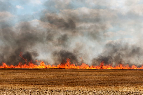 WheatFire_Lead.jpg