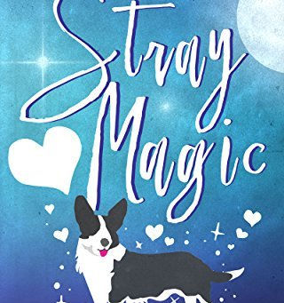#Book Review - #4Stars - Stray Magic by Jackie Bouchard