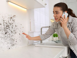 Does Homeowners Insurance Cover Mold Remediation? What You Need to Know