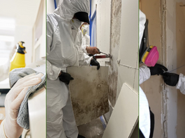 Bathroom Mold? 🚿 No Problem!