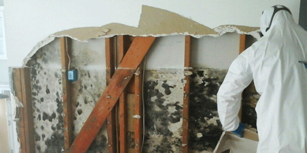 Person in white protective suit removes drywall, revealing moldy wall studs. The setting appears to be a house interior under renovation.