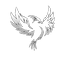 1674708282093_edited.png