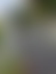 令和7年11月21日 🔥月護摩供