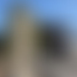 令和8年3月1日　近畿連合会第73回　総会