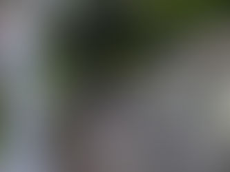 令和6年7月21日🔥月護摩供