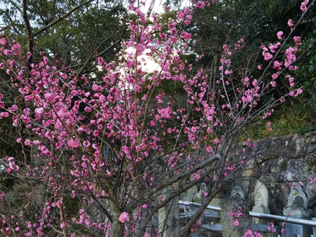 令和4年2月21日月護摩供