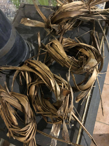 Fire Starters from the backyard....