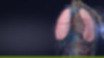 bg 3.jpg