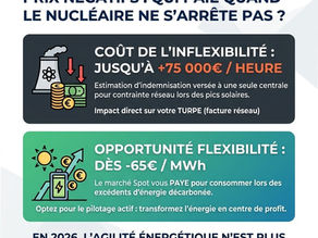 Prix négatifs : qui paie quand le nucléaire ne s'arrête pas ?