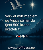 verving bilde copilot_image_1767291554259.jpeg