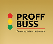 Ny logo copilot_image_1763706875881.jpeg