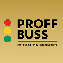 Ny logo copilot_image_1763706875881.jpeg