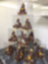 IMG_8097.jpeg
