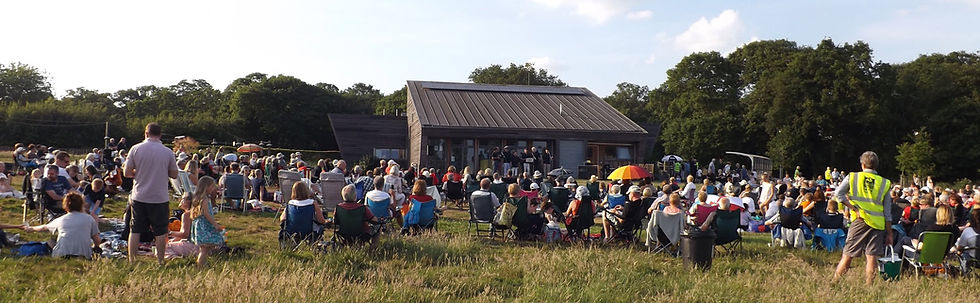 Music in the Woods