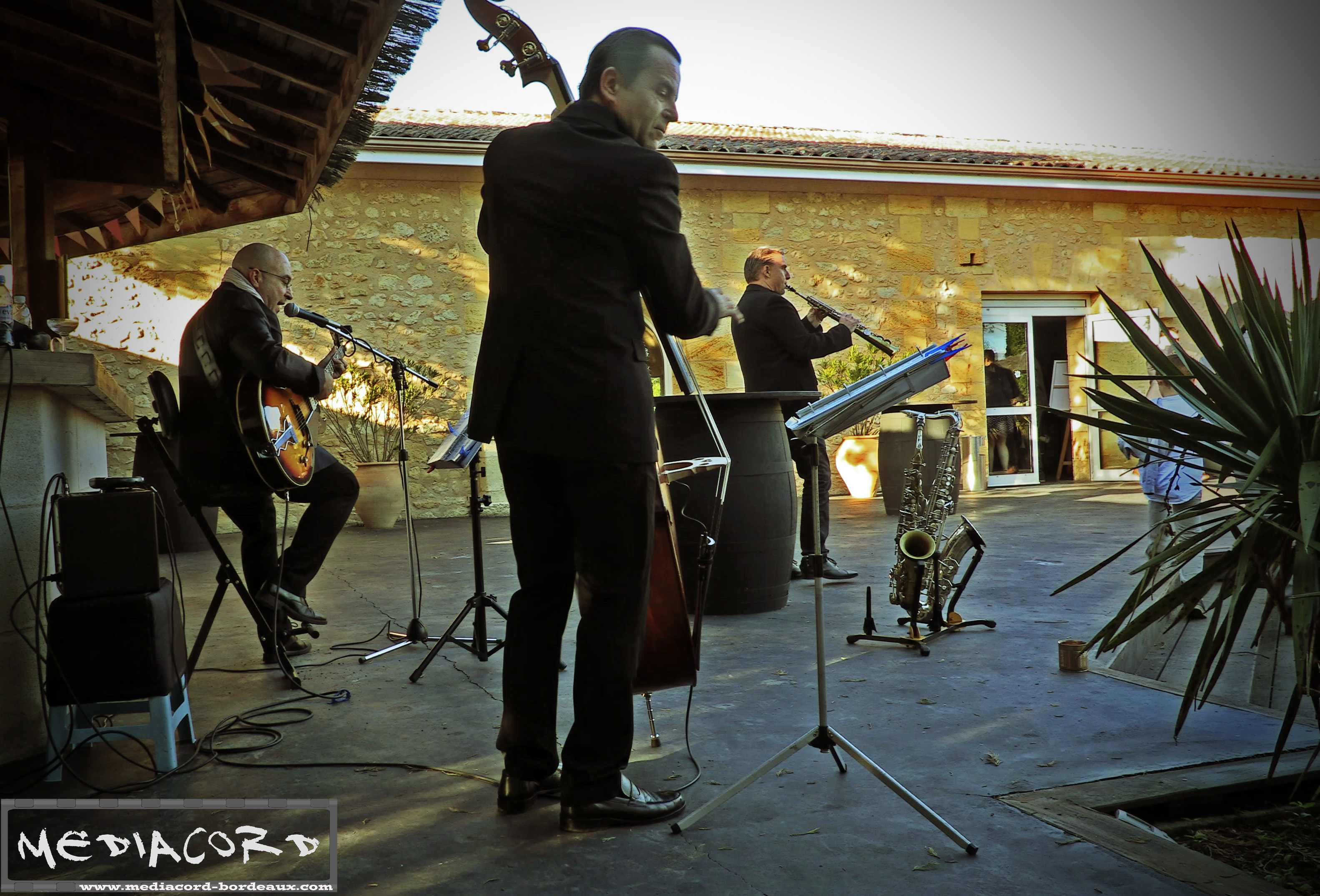 Swing brothers