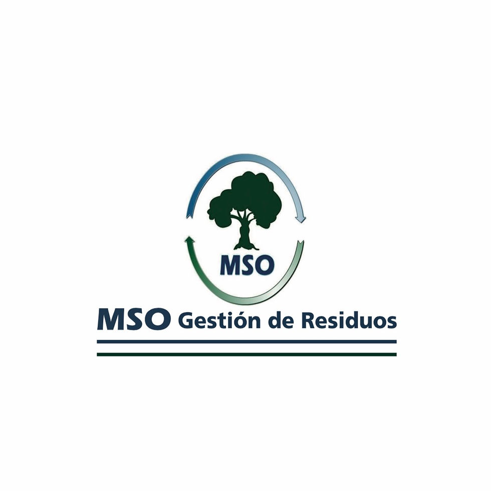LOGO TEXTO MSO.jpg