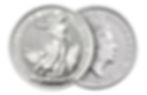 1 oz British Britannia Spot + $4.49