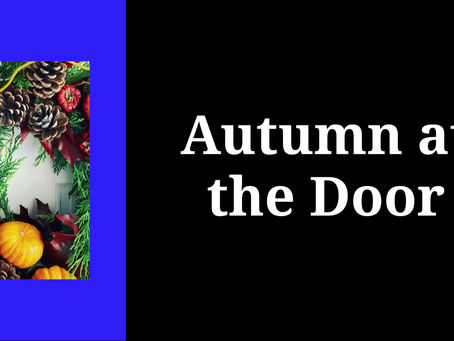 🍁 Autumn’s Colours, My Favourite Season 🍁