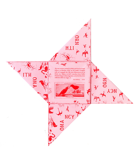 small bird 2.png
