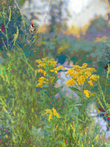 Mixed media artwork of Long, grasses and golden rod, with a small creek, sneaking through and pine trees in the background