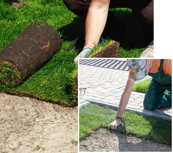 Sod Installation in Etobicoke