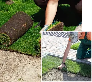 Sod Installation in Etobicoke