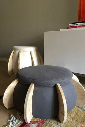 _evolution stools 2.jpg