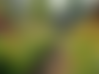 The Importance of Sustainable Living for Future Generations