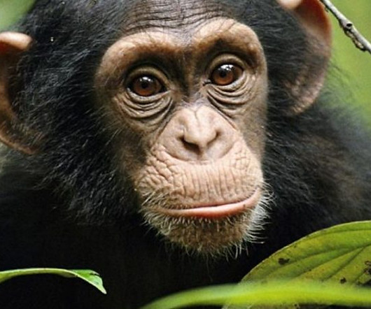 Nyungwe-750x450.jpg