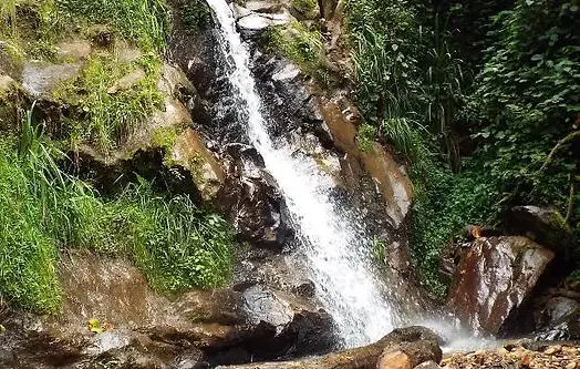 Kazeneza-waterfall-Gishwati-Forest.-Photo.-FHA.webp