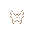 Névtelen terv (2).png