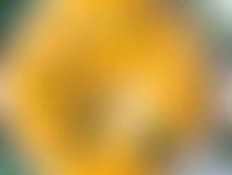 Warming Autumn Harvest Soup