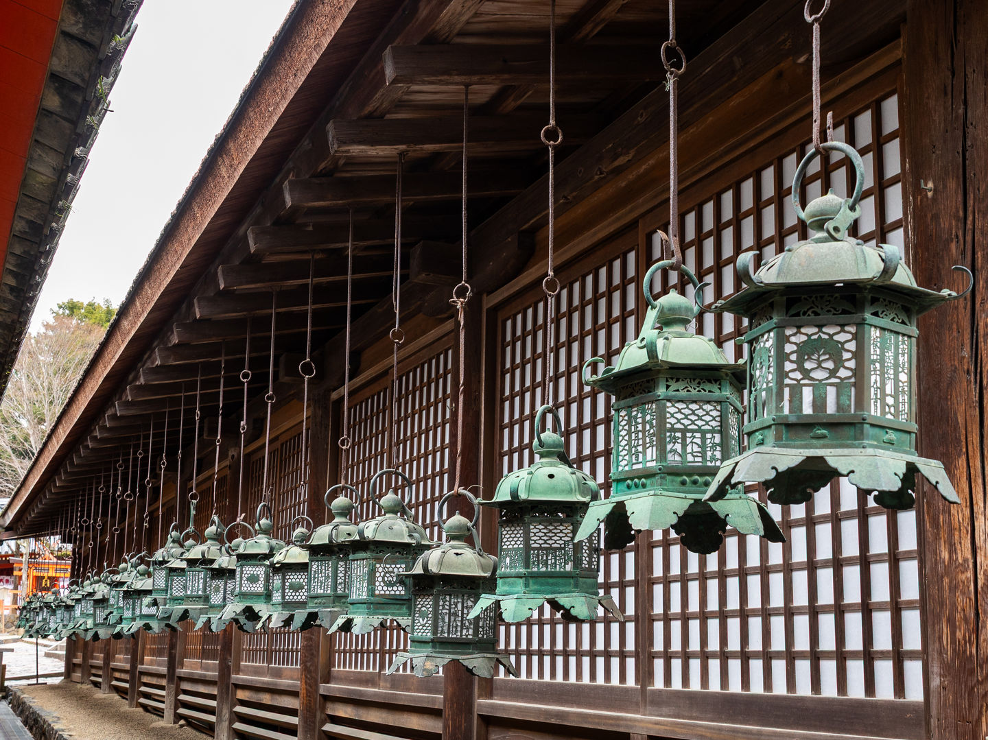 Nara Park