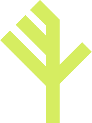 Web-09.png