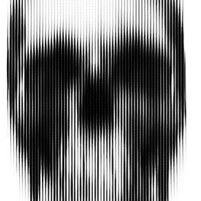 Locos, imbéciles.. Todos.