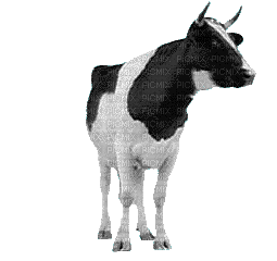 691268_88d15.gif