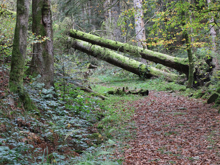 Ein mystischer Ort?
